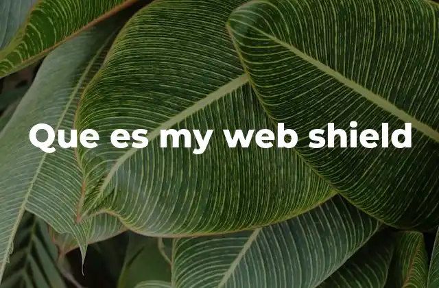 Que es My Web Shield