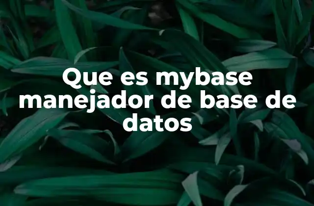 Que es Mybase Manejador de Base de Datos