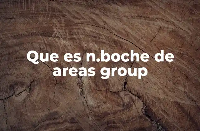 Que es N.boche de Areas Group