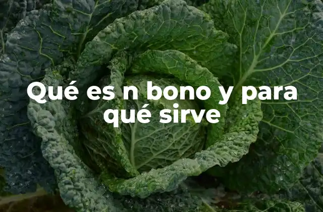 Qué es N Bono y para Qué Sirve