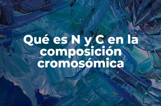 Qué es N y C en la Composición Cromosómica