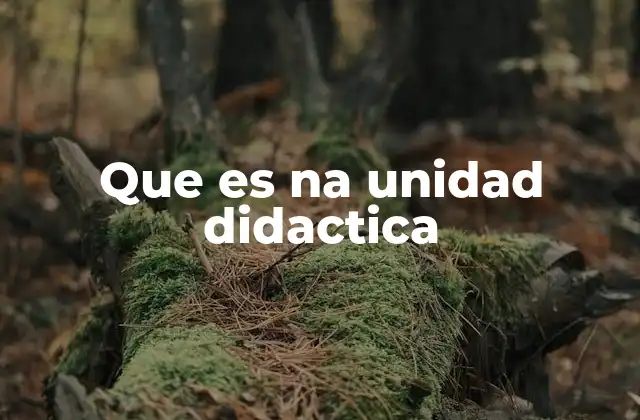 Que es Na Unidad Didactica