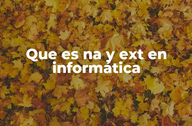Que es Na y Ext en Informática