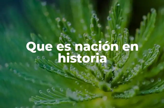 Que es Nación en Historia