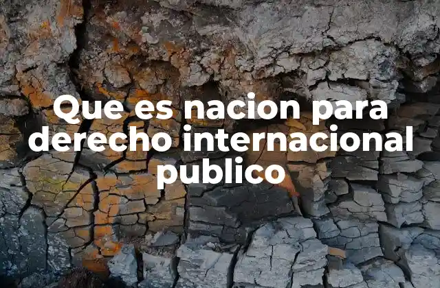 Que es Nacion para Derecho Internacional Publico