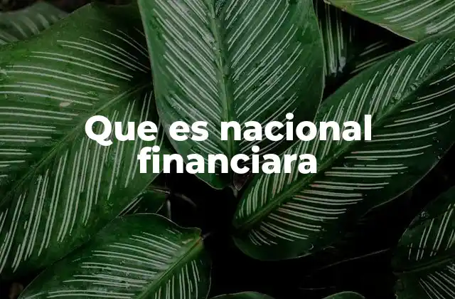 Que es Nacional Financiara