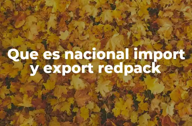 Que es Nacional Import y Export Redpack 2 La importancia de los servicios de importación y exportación en la economía global