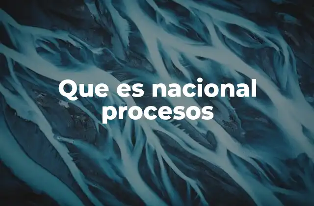 Que es Nacional Procesos