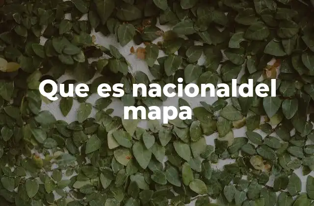 Que es Nacionaldel Mapa