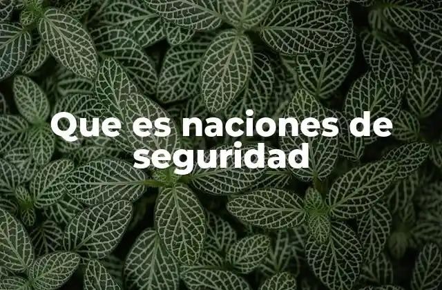 Que es Naciones de Seguridad