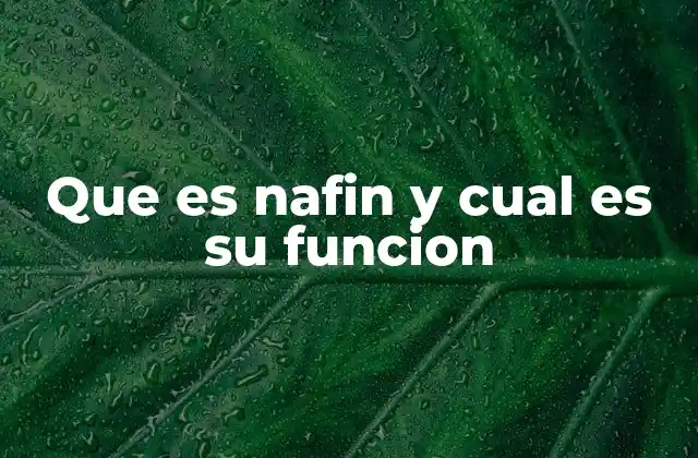 Que es Nafin y Cual es Su Funcion
