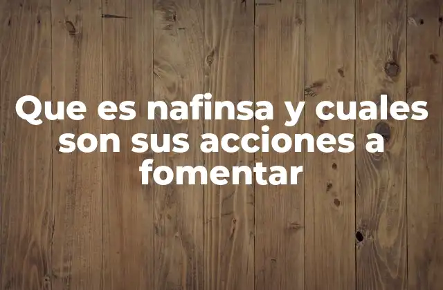 Que es Nafinsa y Cuales Son Sus Acciones a Fomentar