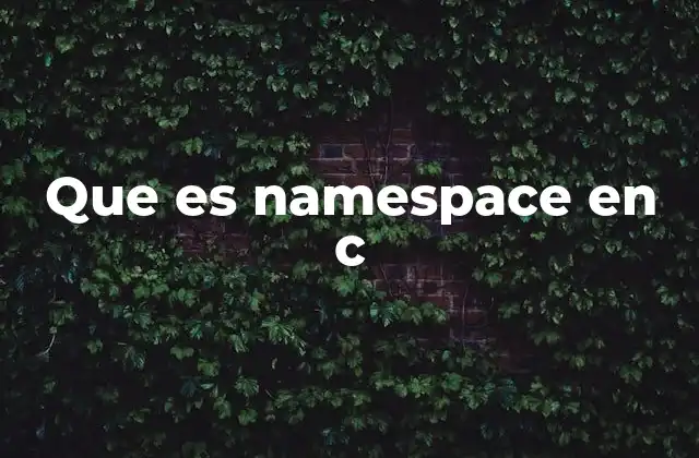 Que es Namespace en C