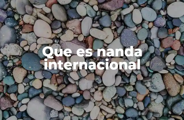 Que es Nanda Internacional 2 El impacto socioeconómico de Nanda Internacional