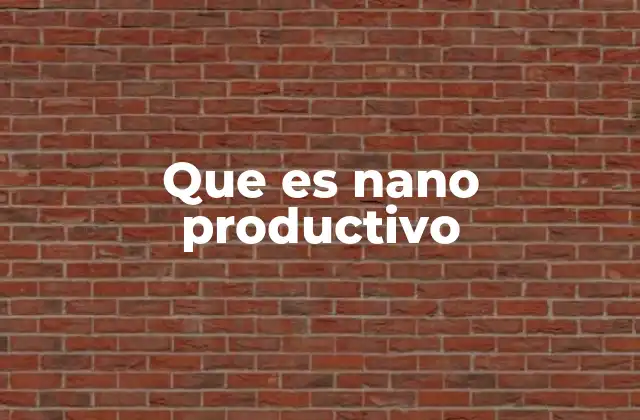Que es Nano Productivo