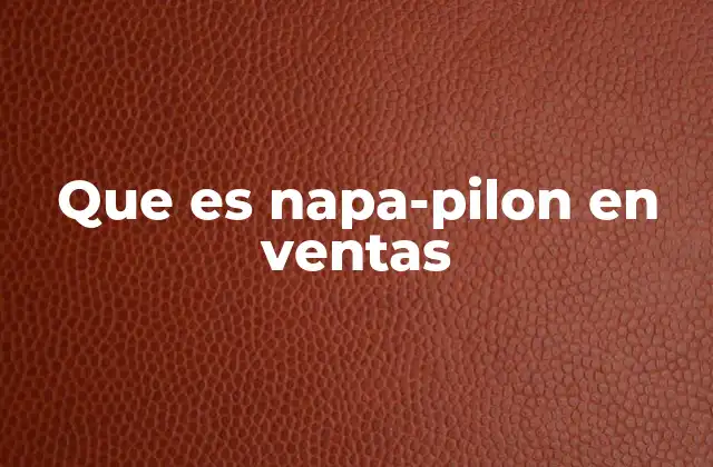 Que es Napa-pilon en Ventas