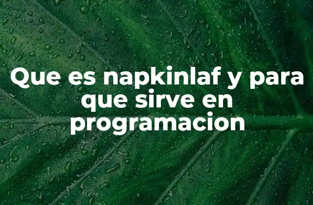 Que es Napkinlaf y para que Sirve en Programacion