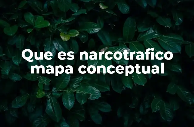 La importancia de visualizar el narcotráfico mediante mapas conceptuales