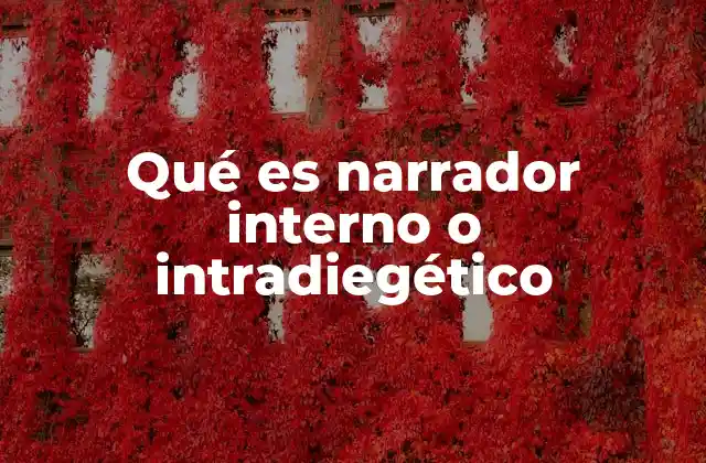 Qué es Narrador Interno o Intradiegético