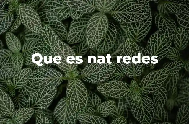 Que es Nat Redes