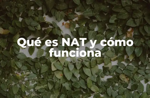 Qué es Nat y Cómo Funciona