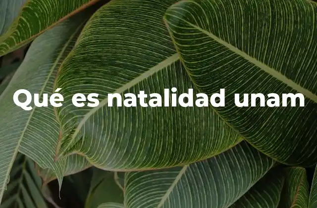 Qué es Natalidad Unam