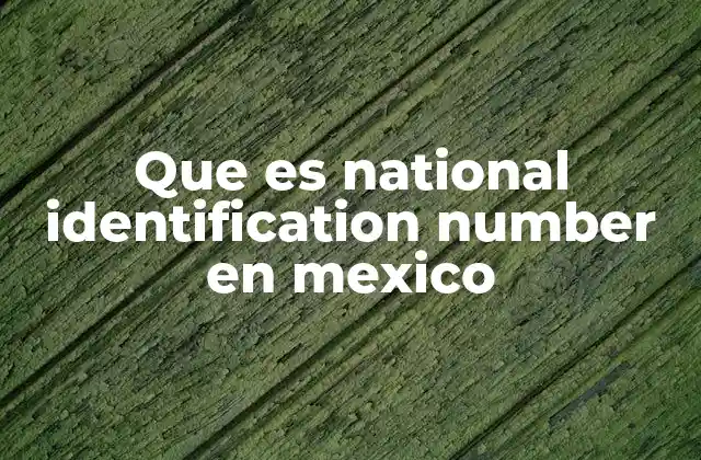 Que es National Identification Number en Mexico 2 El rol del identificador único en la administración pública