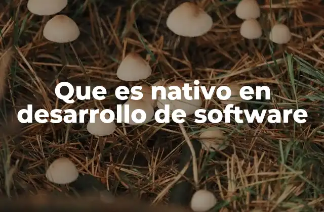 Que es Nativo en Desarrollo de Software 2 Desarrollo adaptado a plataformas específicas