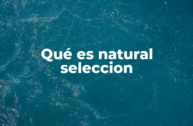Qué es Natural Seleccion