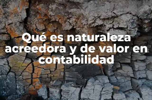 Qué es Naturaleza Acreedora y de Valor en Contabilidad