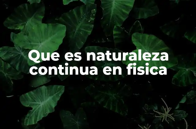 Que es Naturaleza Continua en Fisica