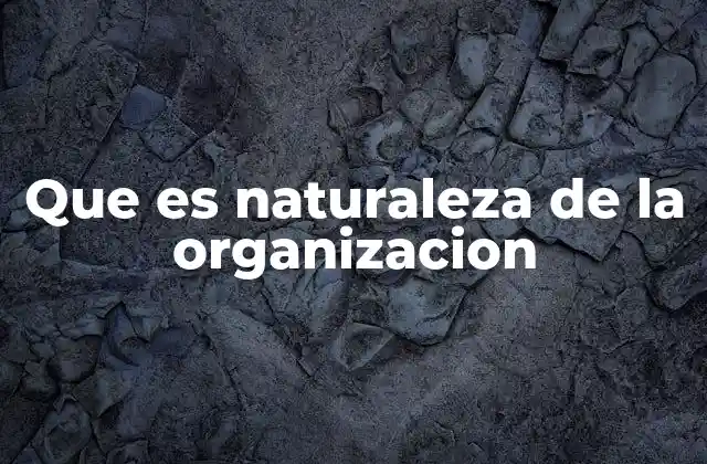 Que es Naturaleza de la Organizacion