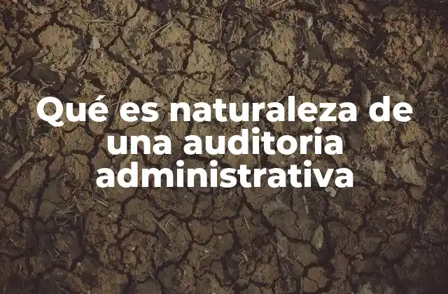 Qué es Naturaleza de una Auditoria Administrativa 2 El rol de la auditoría en el control interno