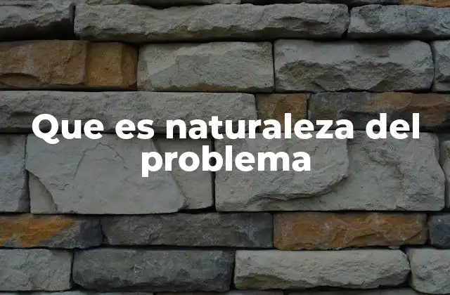 Que es Naturaleza Del Problema
