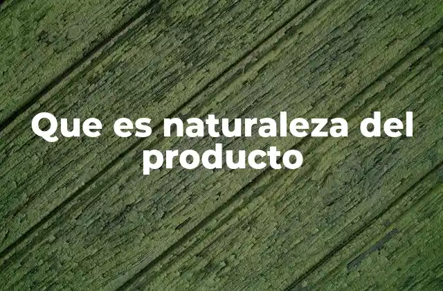 Que es Naturaleza Del Producto