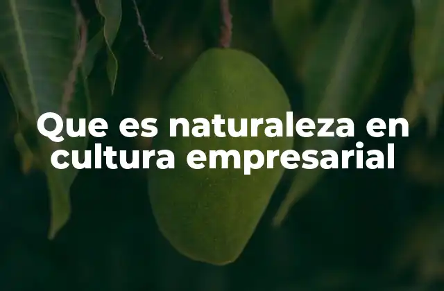 Que es Naturaleza en Cultura Empresarial