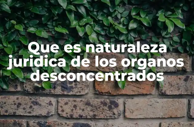 Que es Naturaleza Juridica de los Organos Desconcentrados