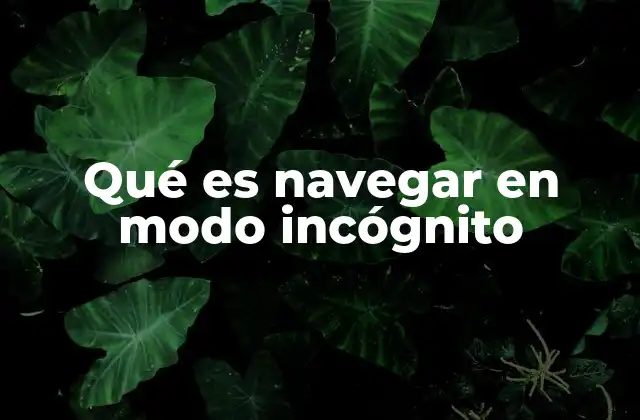 Qué es Navegar en Modo Incógnito