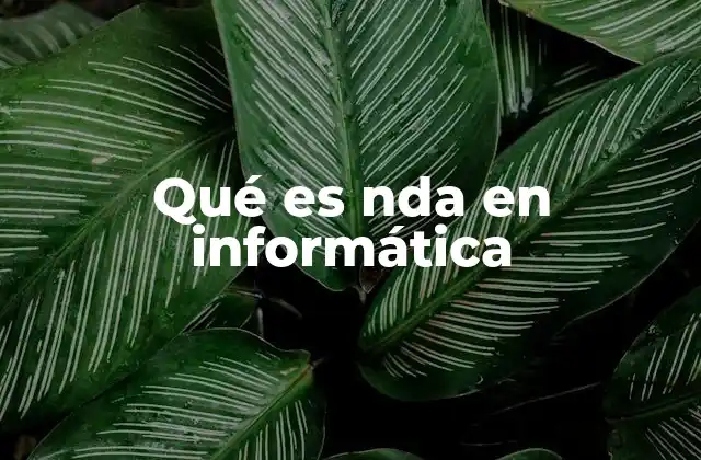 Qué es Nda en Informática