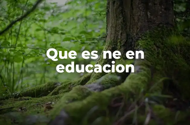 Que es Ne en Educacion