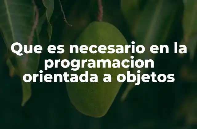 Que es Necesario en la Programacion Orientada a Objetos