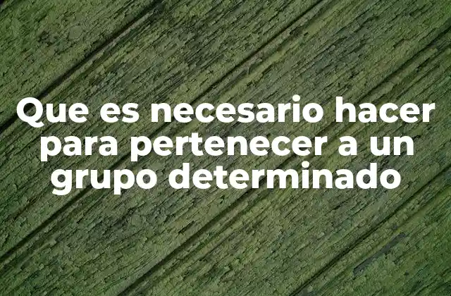 Las etapas para integrarse a una comunidad cohesiva