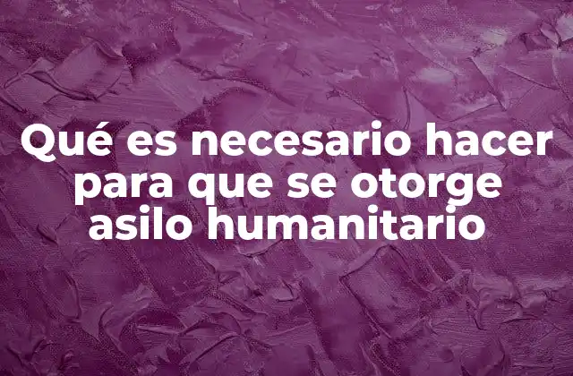 Cómo preparar una solicitud efectiva para el asilo humanitario