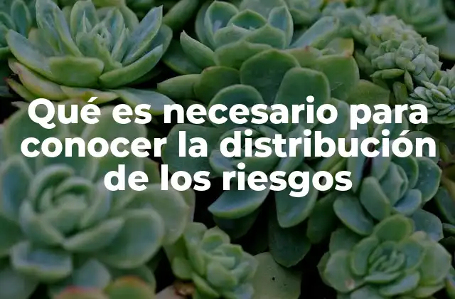 Qué es Necesario para Conocer la Distribución de los Riesgos