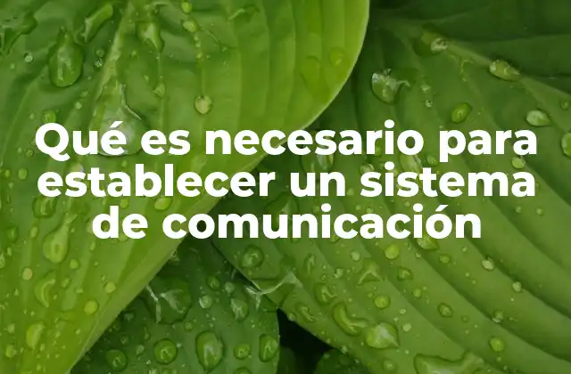 Qué es Necesario para Establecer un Sistema de Comunicación