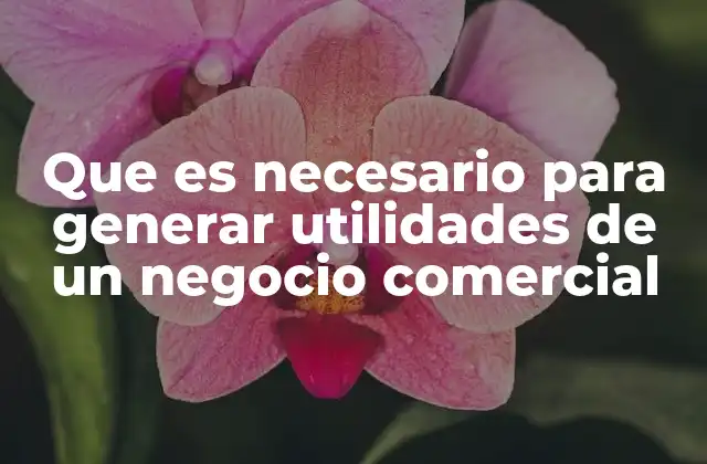 Que es Necesario para Generar Utilidades de un Negocio Comercial