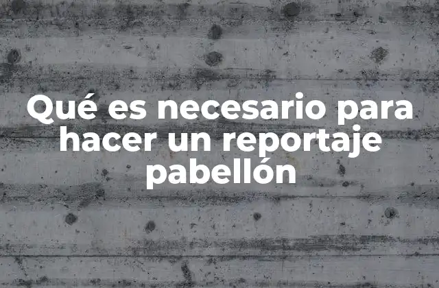 Qué es Necesario para Hacer un Reportaje Pabellón