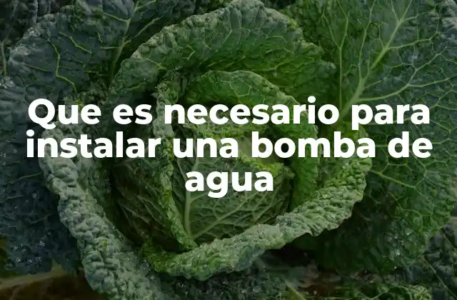 Que es Necesario para Instalar una Bomba de Agua