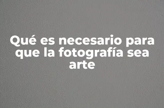 Qué es Necesario para que la Fotografía Sea Arte