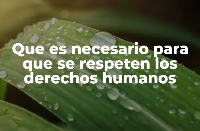 Que es Necesario para que Se Respeten los Derechos Humanos